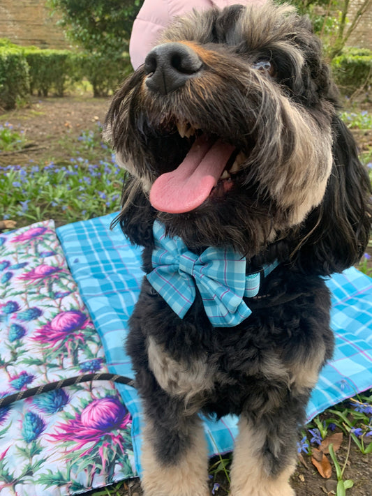 Sailor Bow Collar Accessory Turquoise Tartan