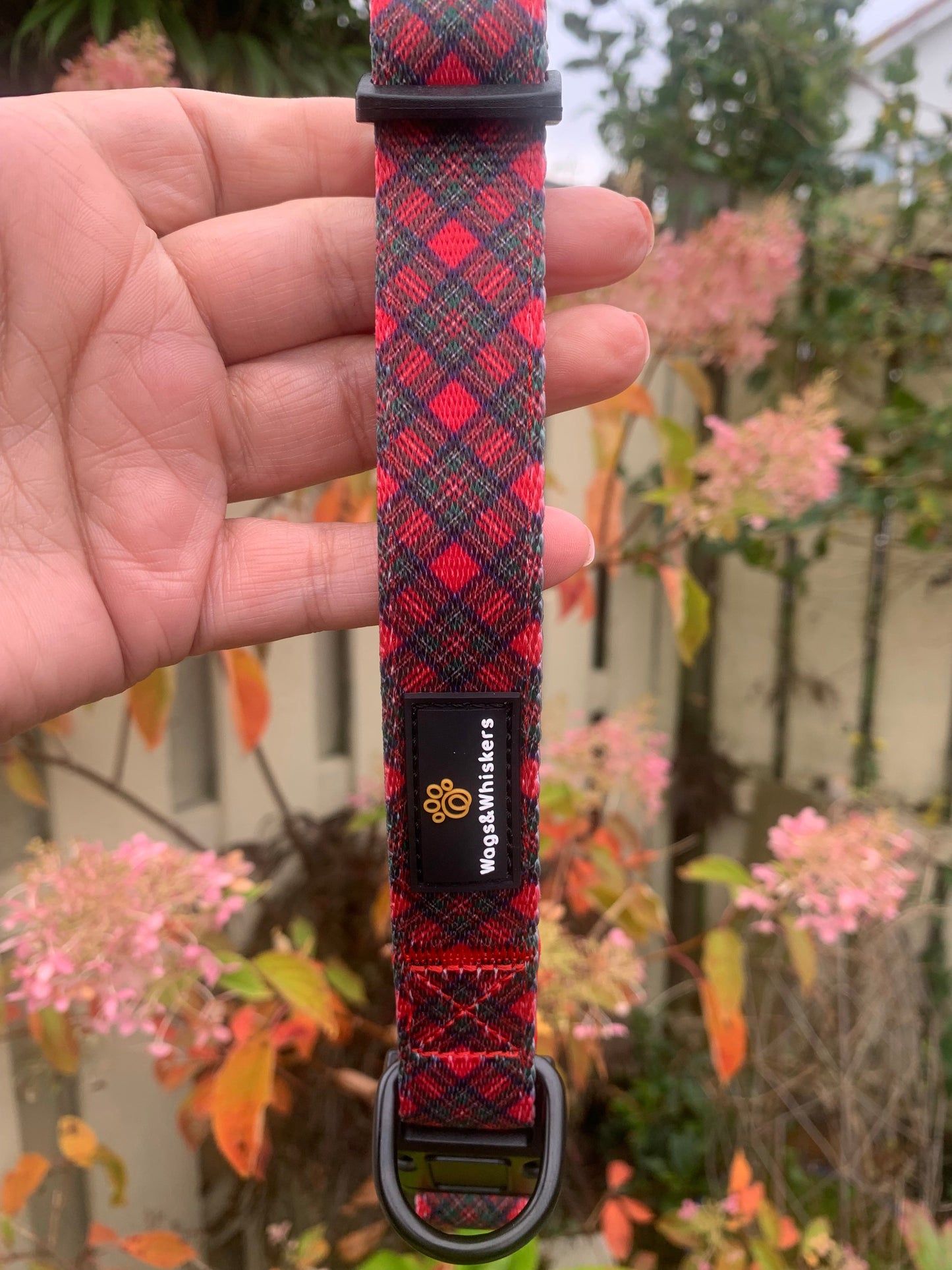Royal Stewart Tartan Collar