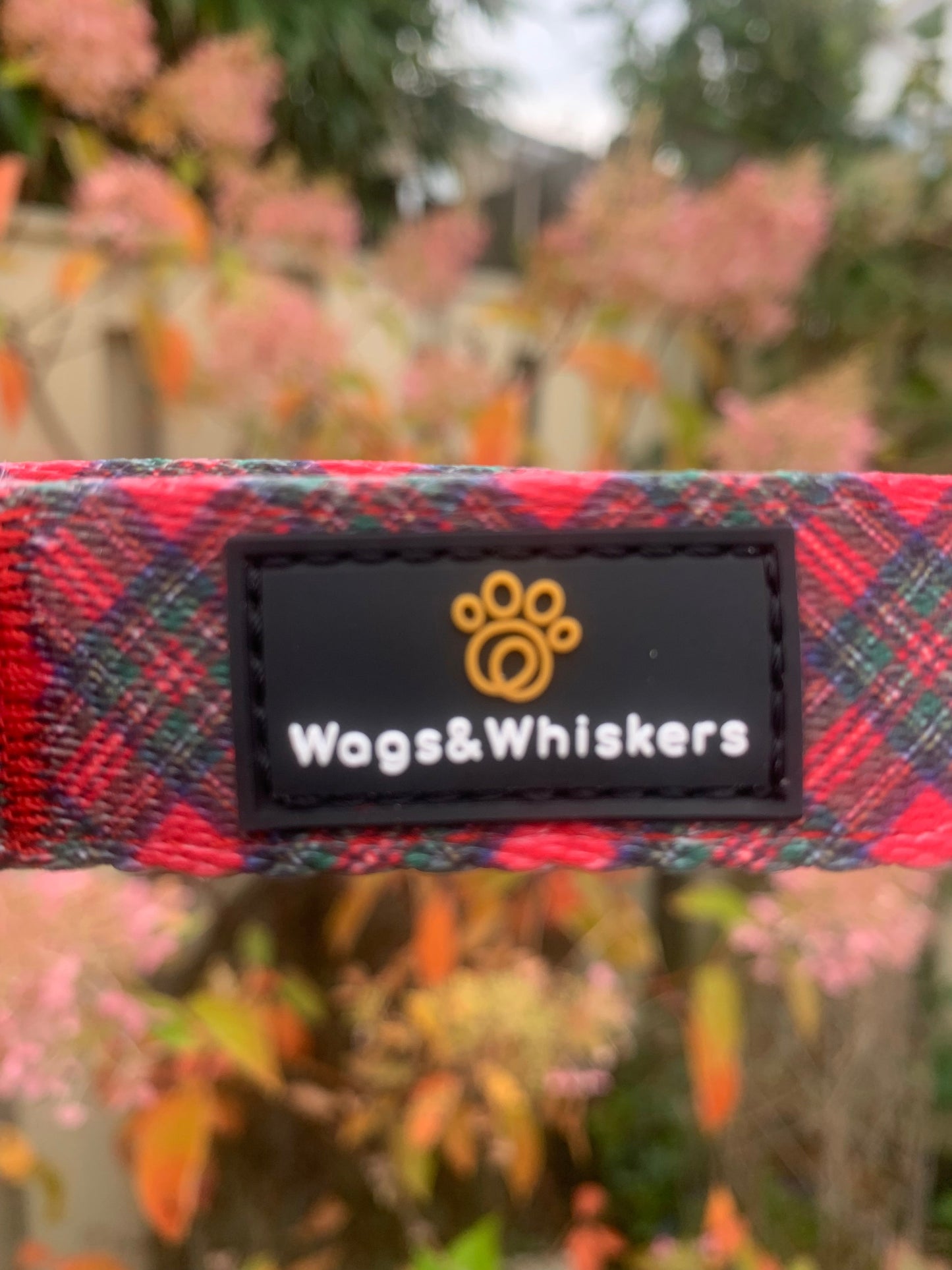 Royal Stewart Tartan Collar