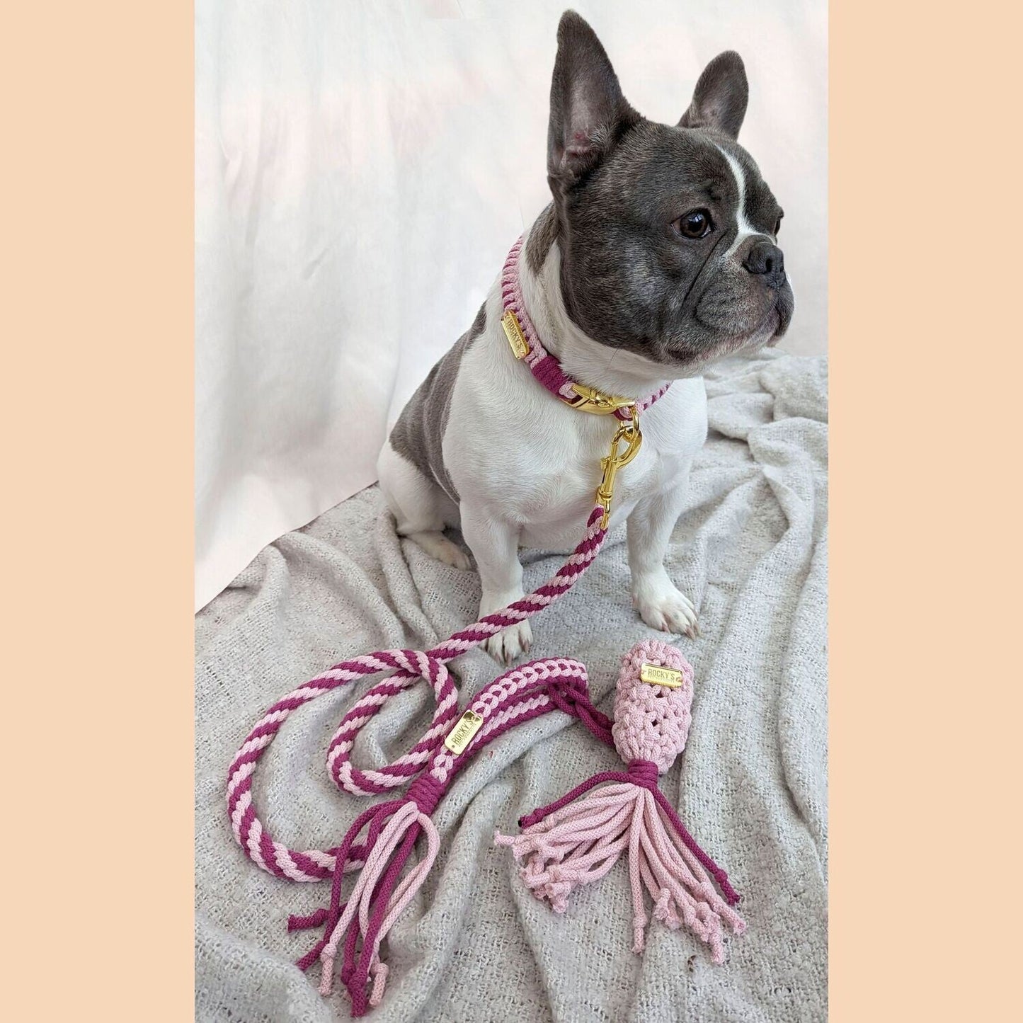Make Your Own Dog Collar & Friendship Bracelet Craft Kit - PINK