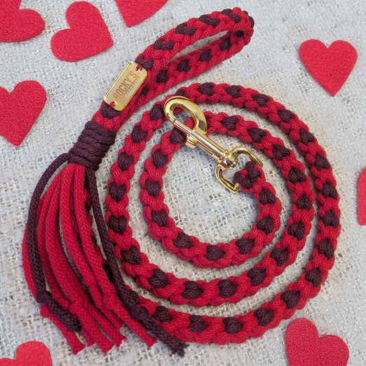 Make Your Own Dog Lead Craft Kit - Valentine's Day Heart Pattern