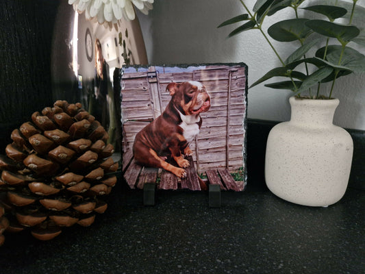 15x15 r stella slate