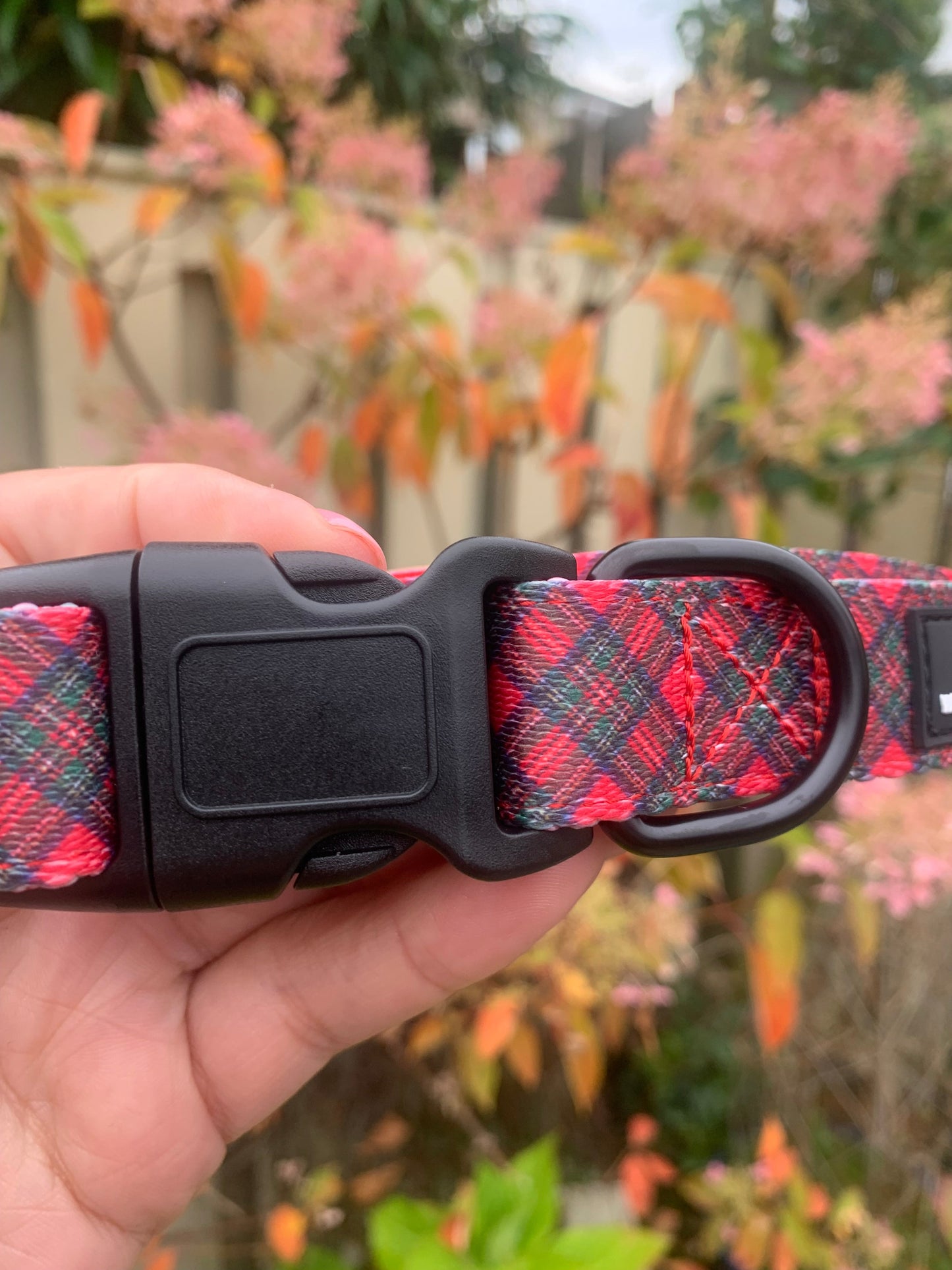 Royal Stewart Tartan Collar