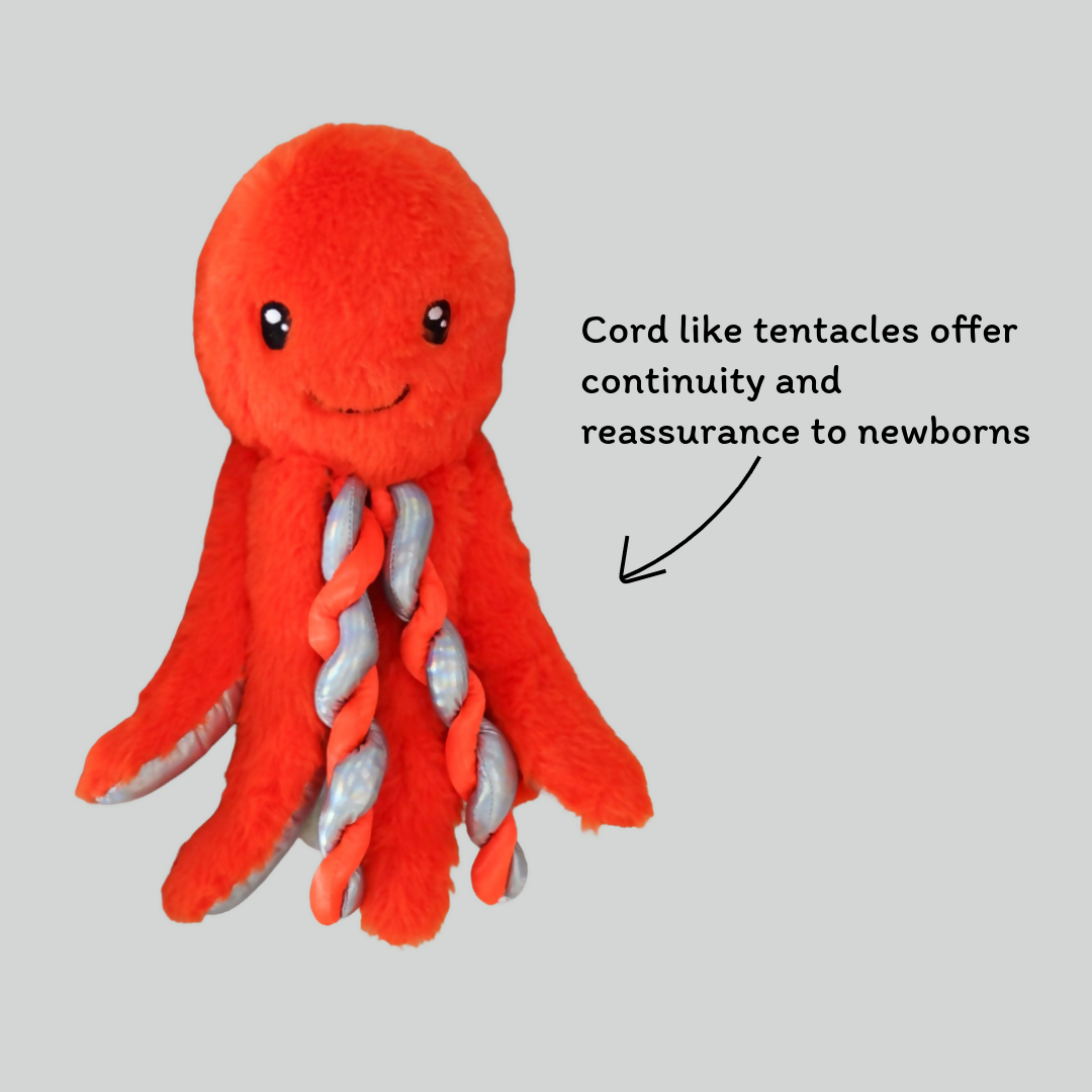 Oscar the Octopus