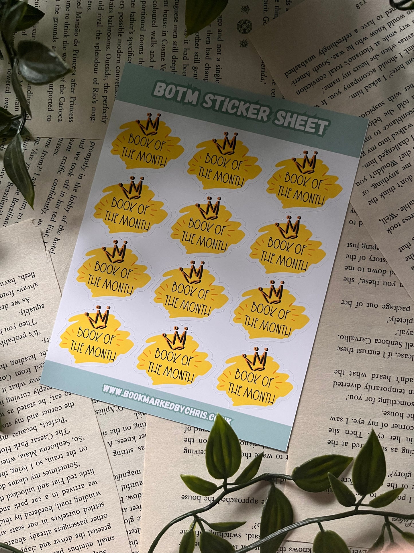 Book Of The Month sticker sheet