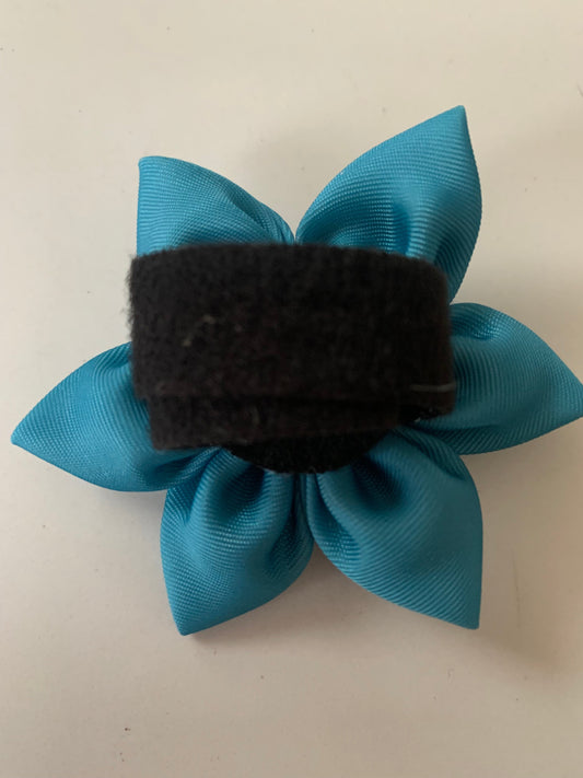 Flower Pet Collar Accessory Turquoise Blue