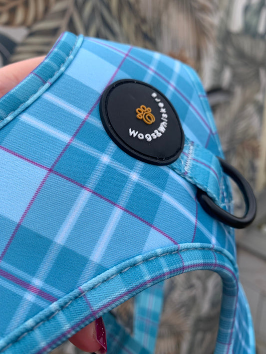 Turquoise Tartan Dog Harness
