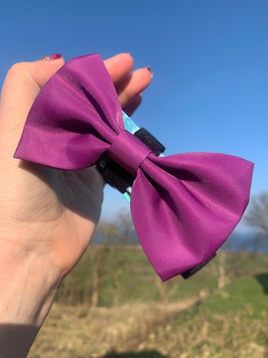 Bow Collar Accessory Magenta Purple