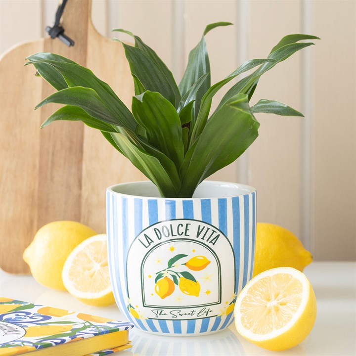 Plant Pot – Blue Striped La Dolce Vita Mediterranean Herb & Succulent Planter