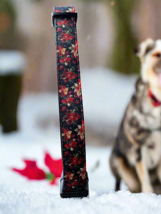 Festive Poinsettia Collar
