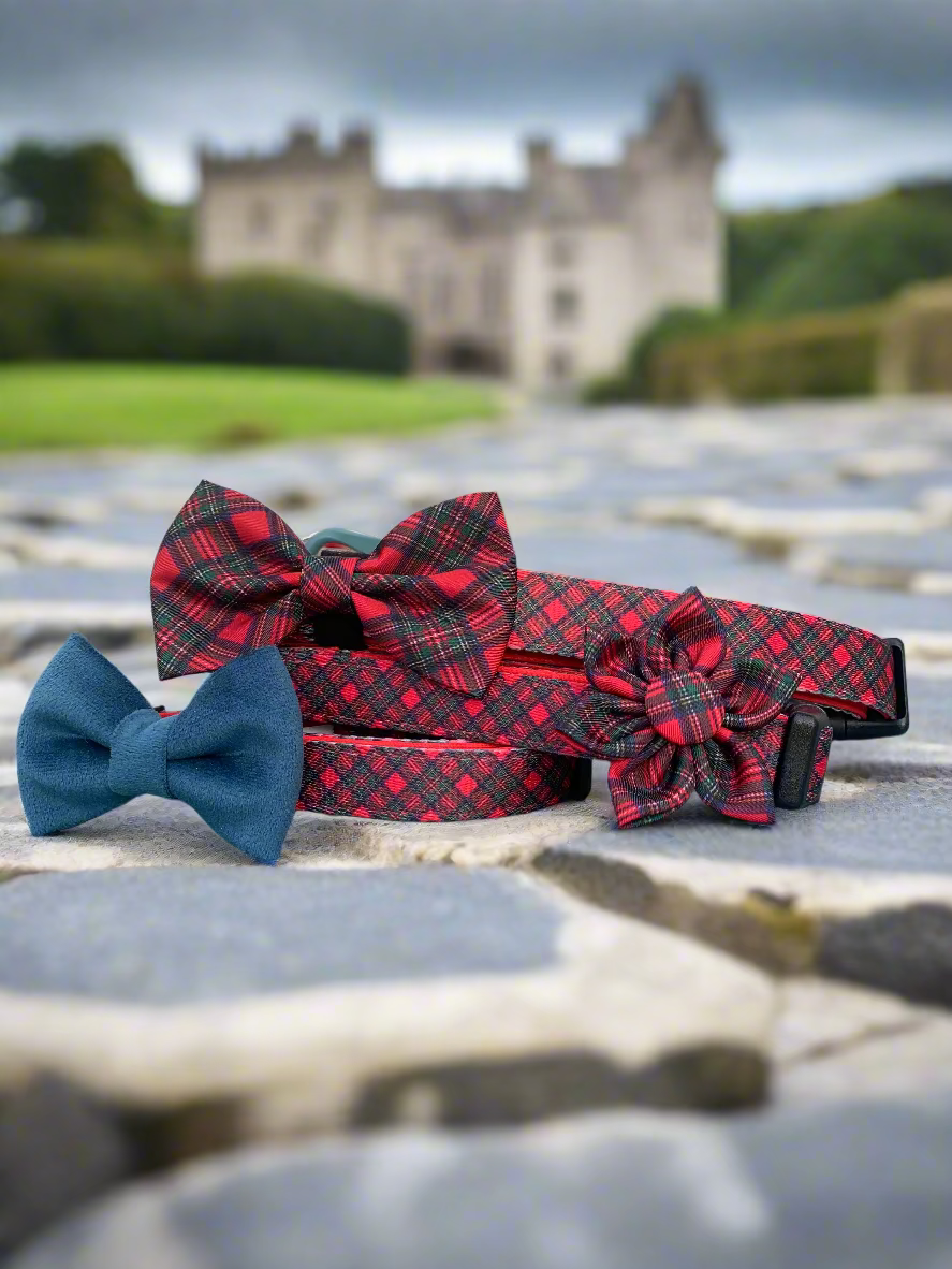 Royal Stewart Tartan Collar