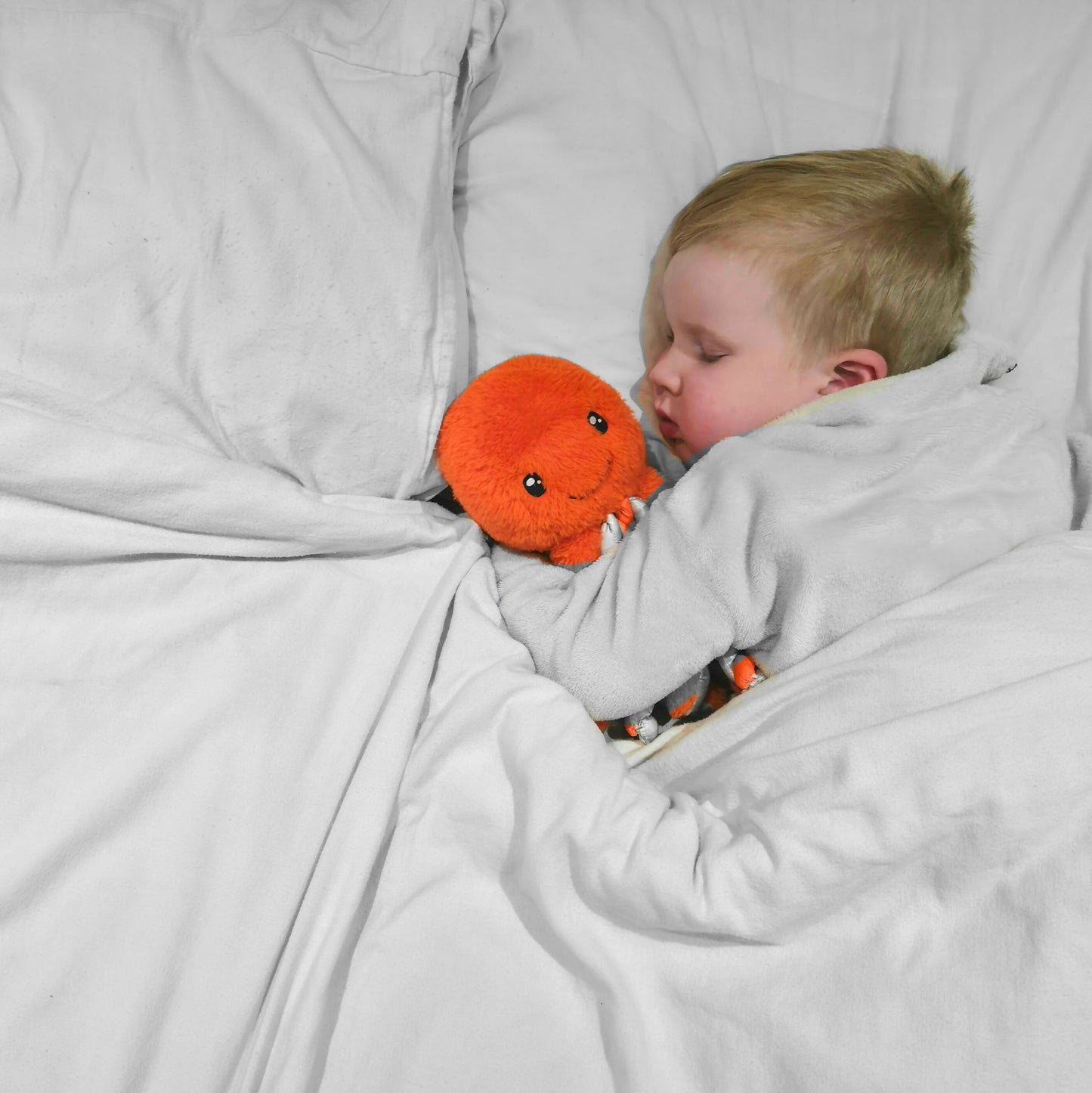 Oscar the Octopus
