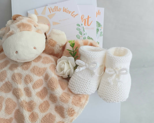 Giraffe New Baby Gift Set - Forever After Boutique