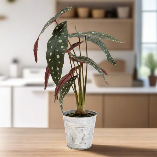 Alocasia Elephant Ear Faux Potted Plant - Forever After Collective