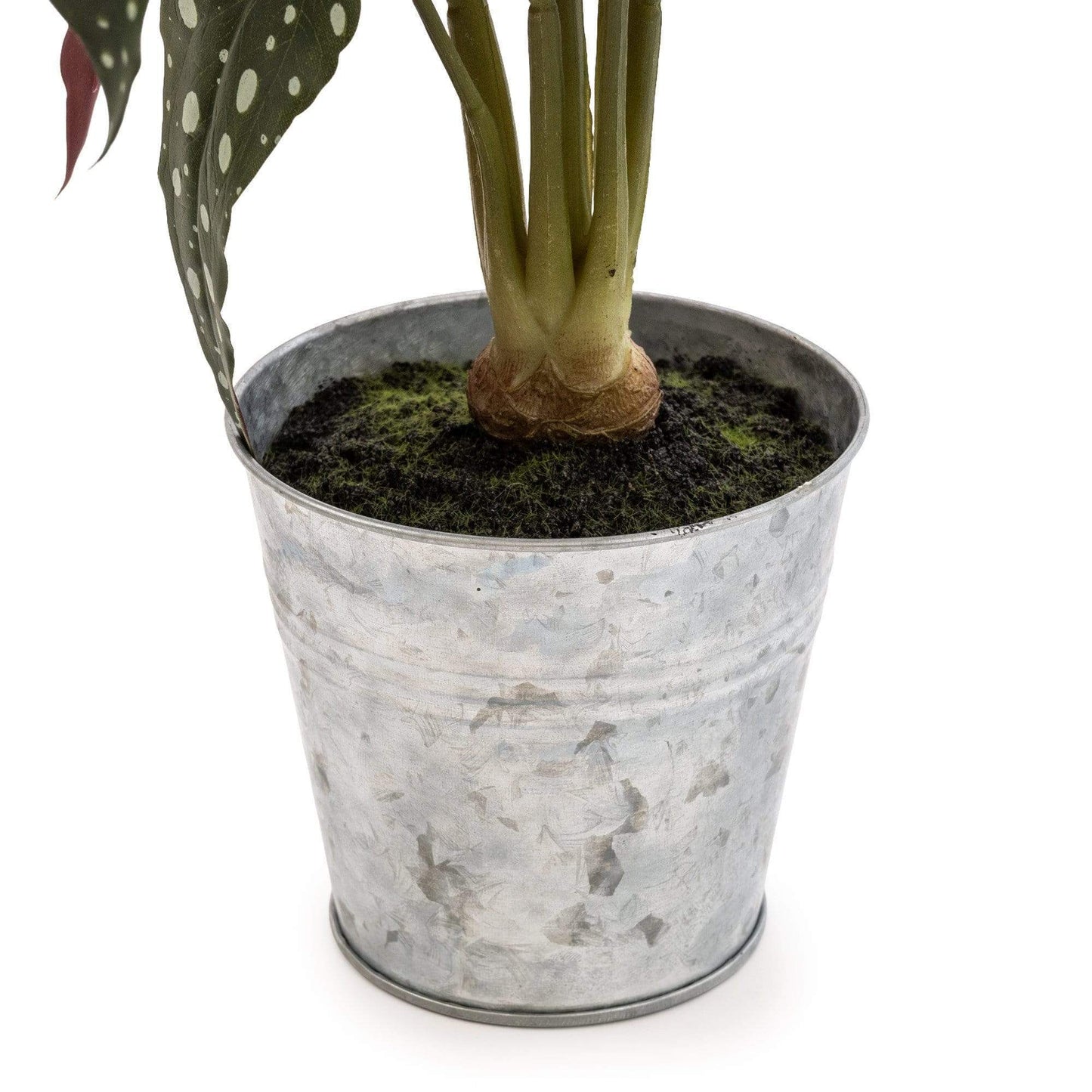 Alocasia Elephant Ear Faux Potted Plant - Forever After Collective