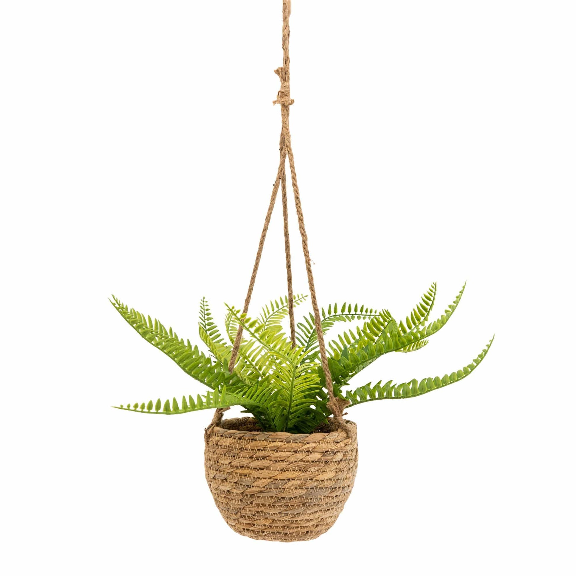 Artificial Hanging Fern Plant. - Forever After Collective
