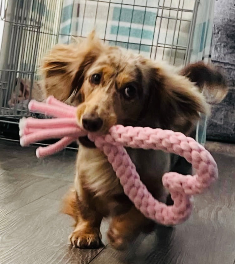 Handmade Dog Toy Rope Love Heart
