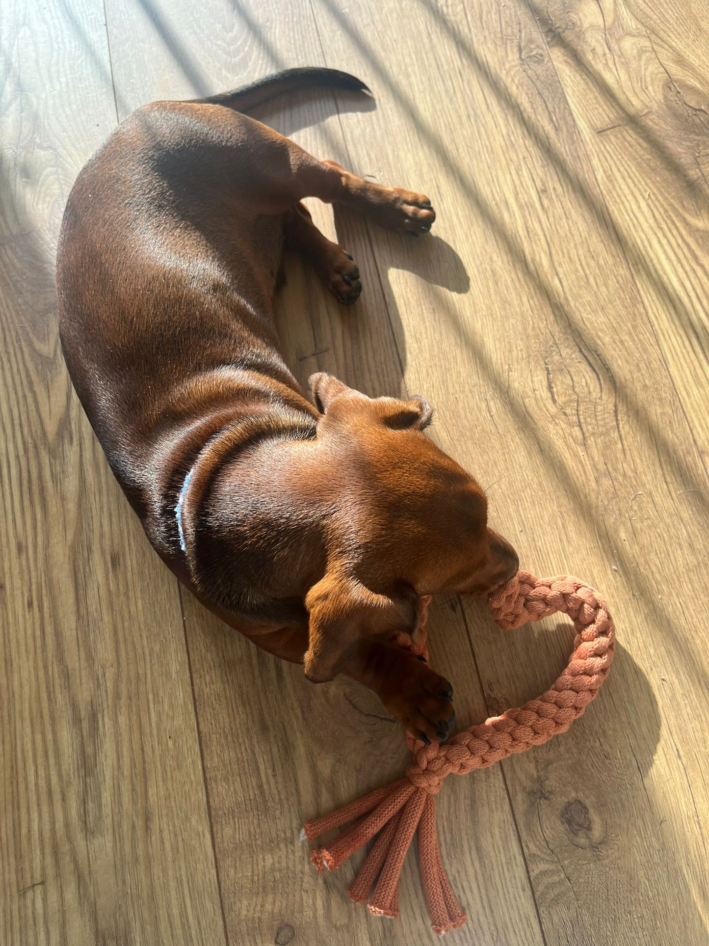 Handmade Dog Toy Rope Love Heart