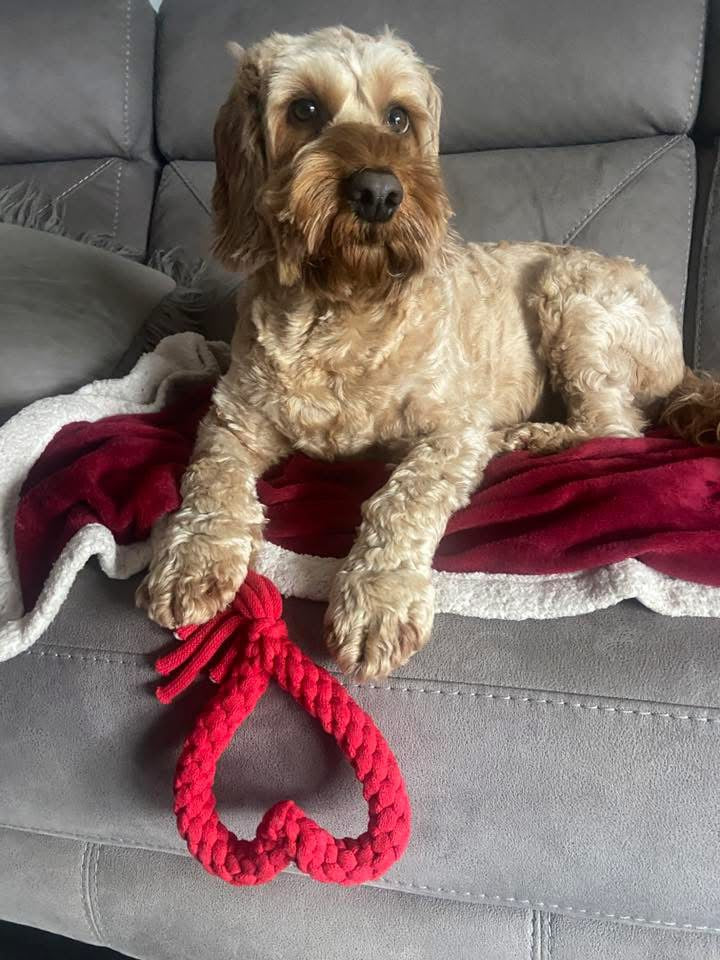 Handmade Dog Toy Rope Love Heart