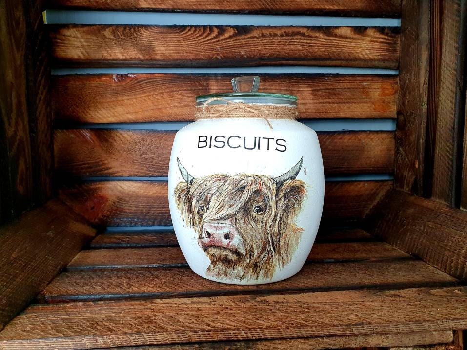 Decorative glass kilner cookie and biscuit jar