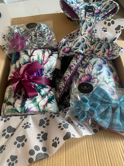 Flower Collar Accessory Turquoise Tartan