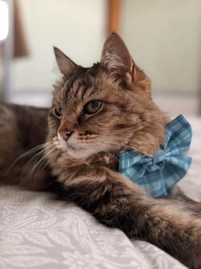 Sailor Bow Collar Accessory Turquoise Tartan