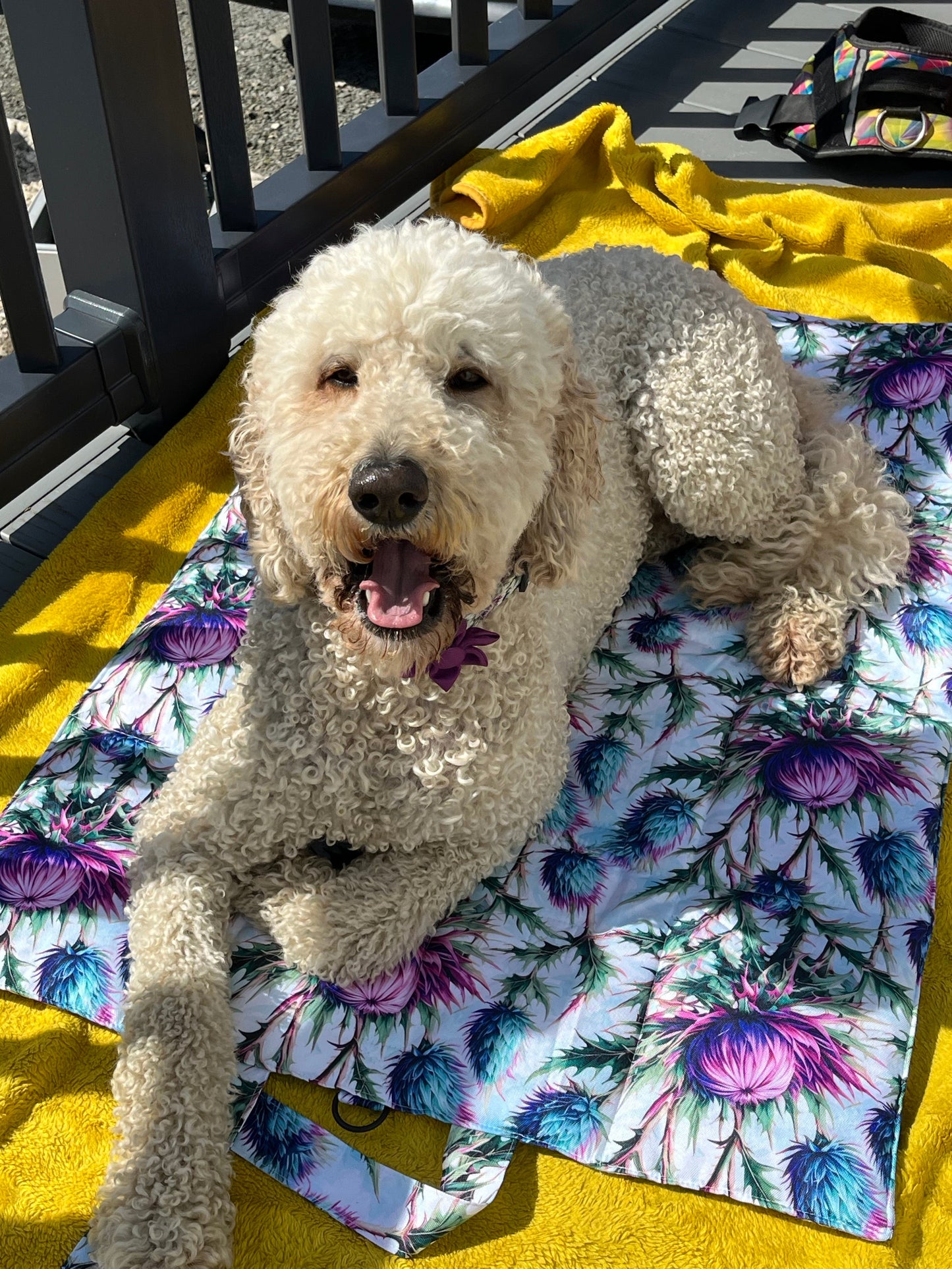 Pet Travel and Settle Mat - Bonnie Thistle