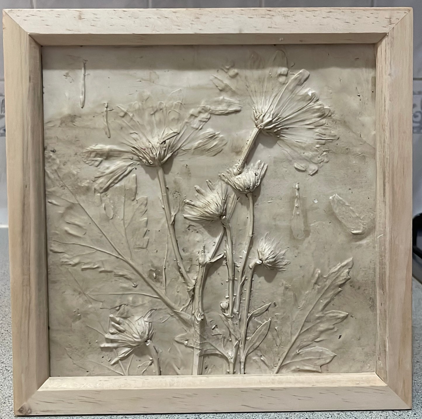 Plaster Casting Botanical Workshop Saturday 30th May