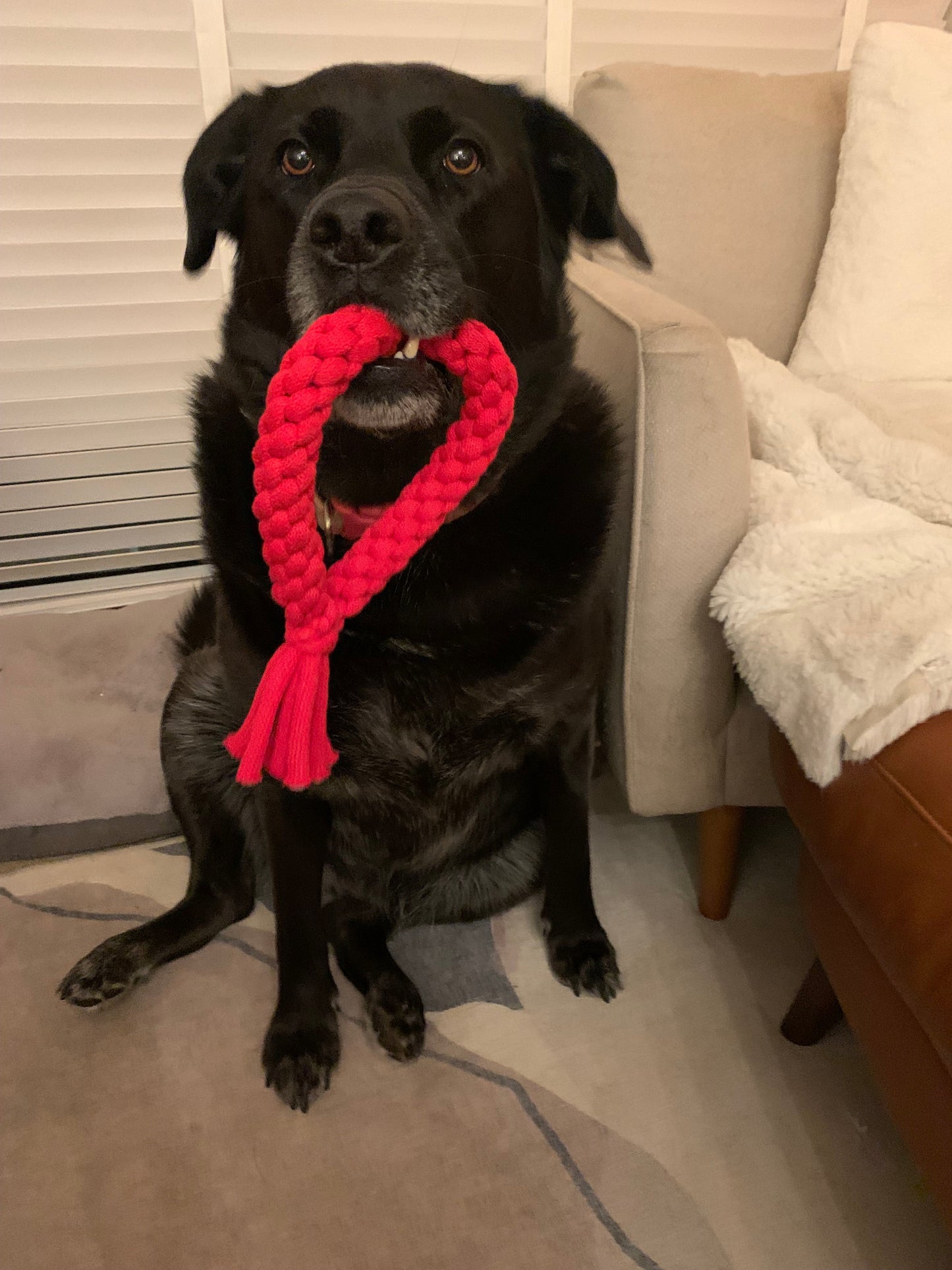 Handmade Dog Toy Rope Love Heart