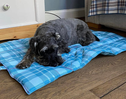 Turquoise Tartan Pet Travel and Settle Mat