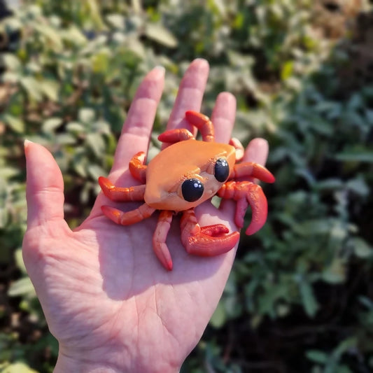 Tiny Crab