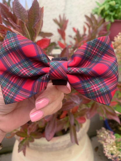 Royal Stewart Tartan Collar