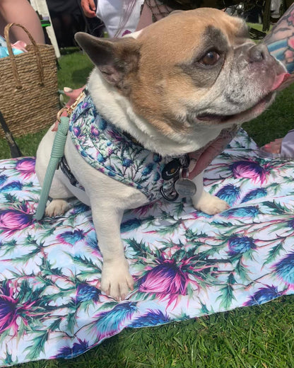 Pet Travel and Settle Mat - Bonnie Thistle