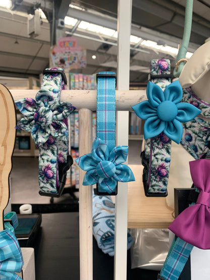 Flower Collar Accessory Turquoise Tartan