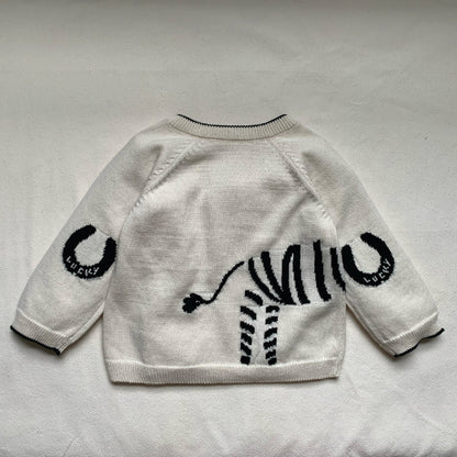 Lucky Zebra Jumper