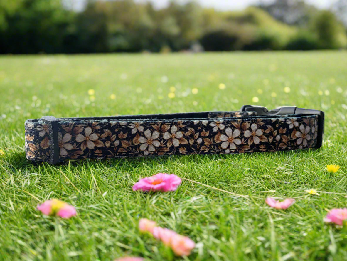 Black & Gold Floral Collar