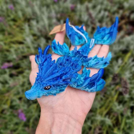 Ocean Dragon