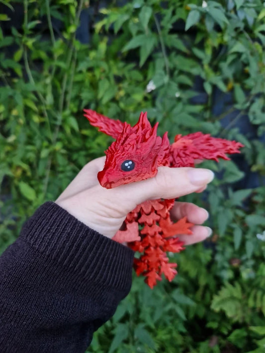 Phoenix Dragon
