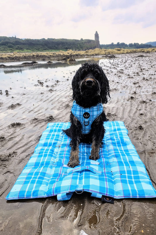 Turquoise Tartan Pet Travel and Settle Mat