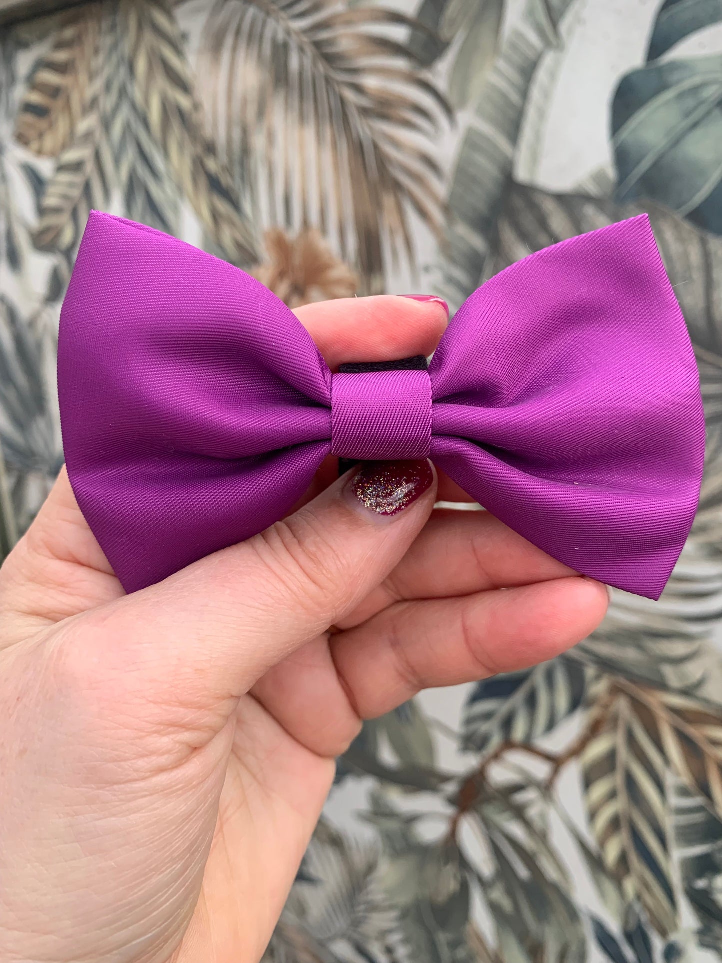 Bow Collar Accessory Magenta Purple