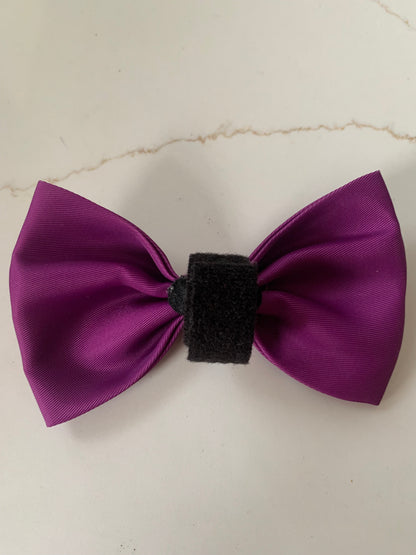 Bow Collar Accessory Magenta Purple
