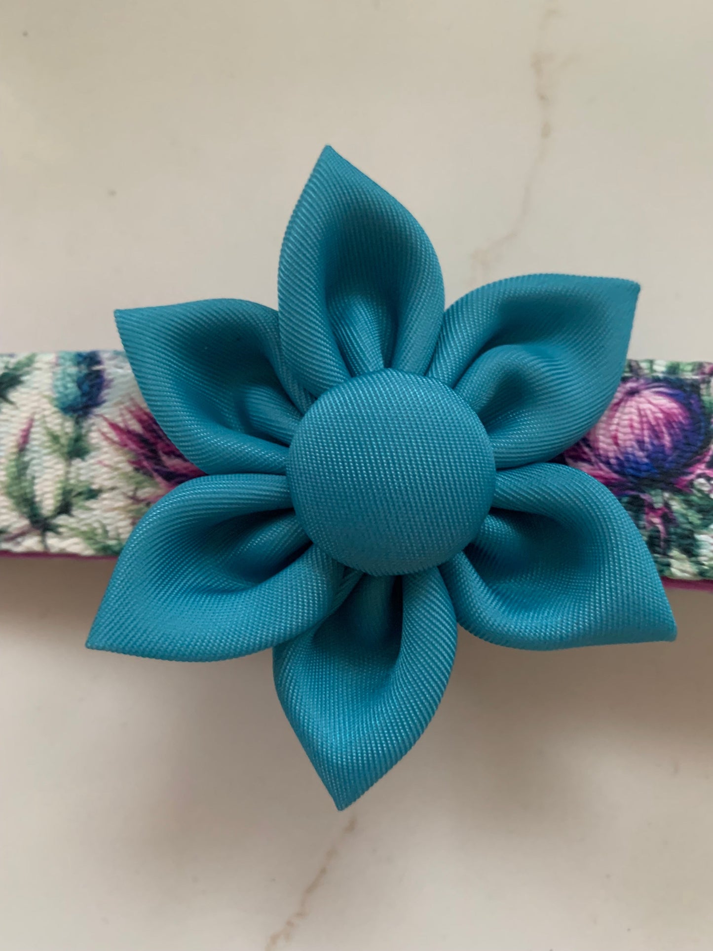 Flower Pet Collar Accessory Turquoise Blue