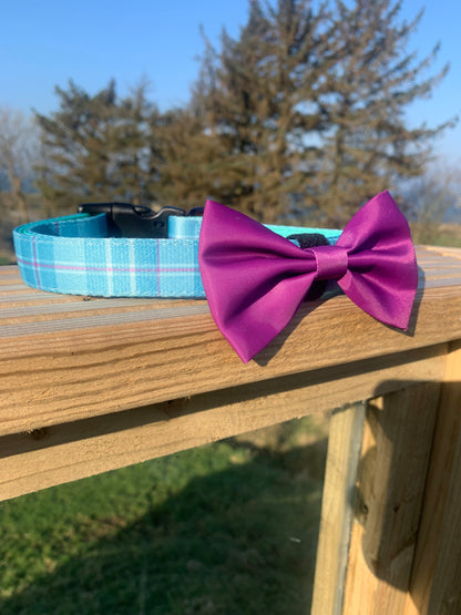Bow Collar Accessory Magenta Purple