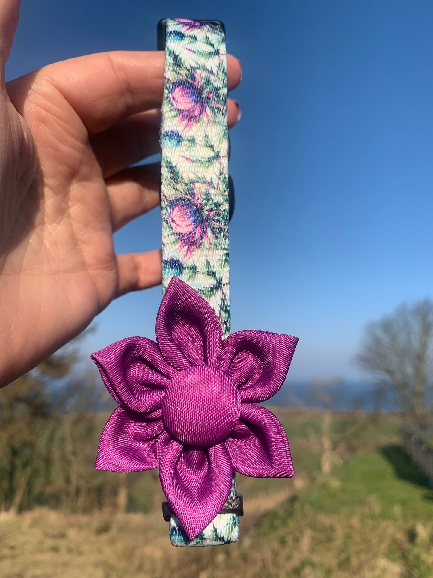 Flower Pet Collar Accessory Magenta Purple