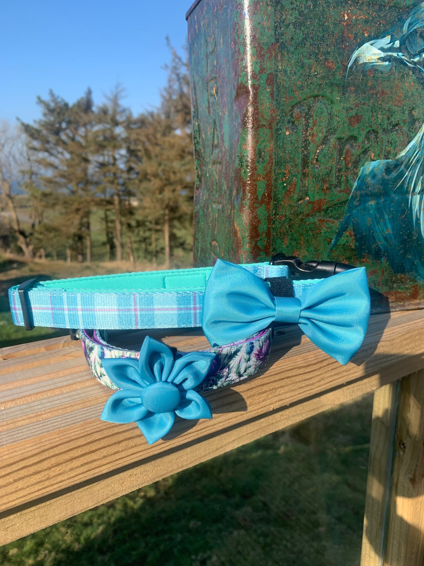 Bow Collar Accessory Turquoise Blue