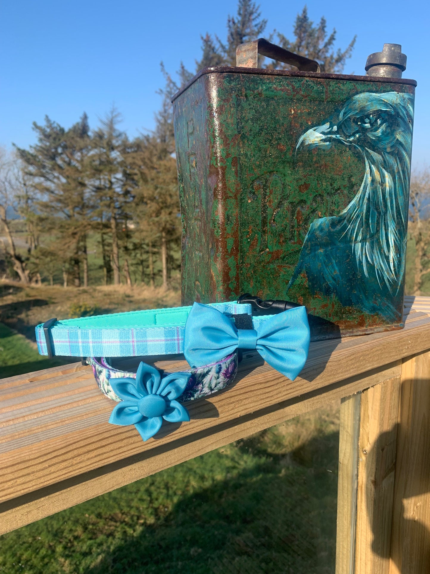 Flower Pet Collar Accessory Turquoise Blue