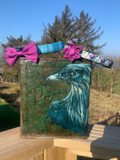 Bow Collar Accessory Magenta Purple