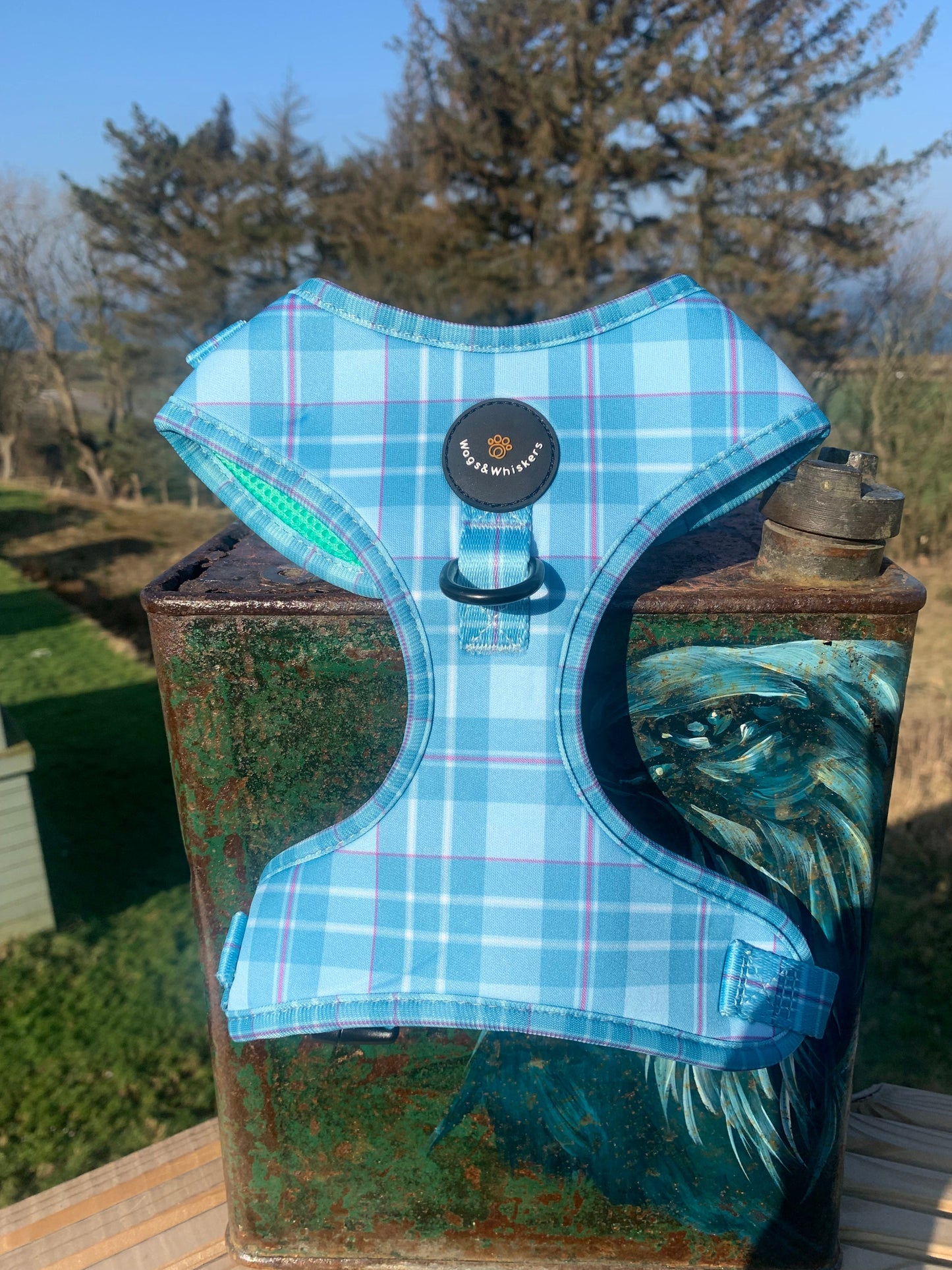 Turquoise Tartan Dog Harness