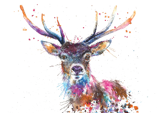 Splatter Rainbow Stag – A4 Art