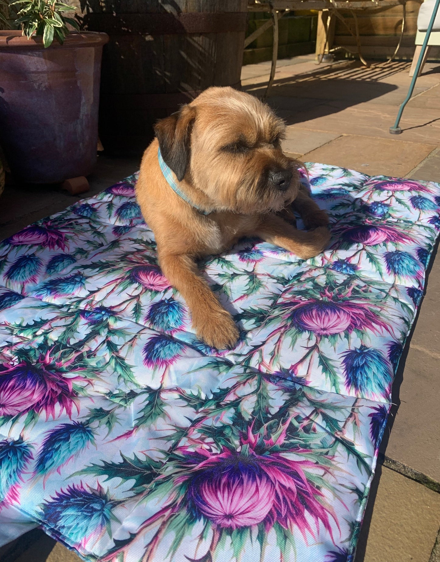 Pet Travel and Settle Mat - Bonnie Thistle